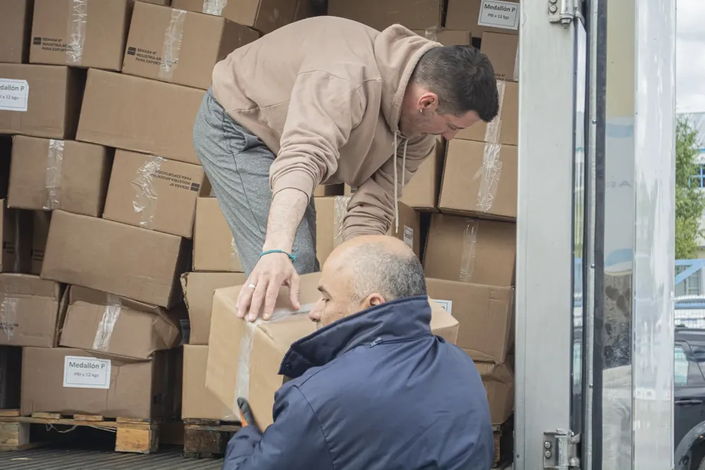 MDSII_ENTREGA_DE_MERLUZA_7