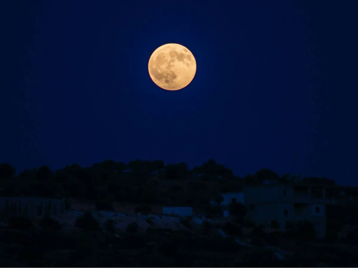 f.elconfidencial.com_original_f05_9a5_d90_f059a5d90a08b11f1b0b9d7c5ecbeecb
