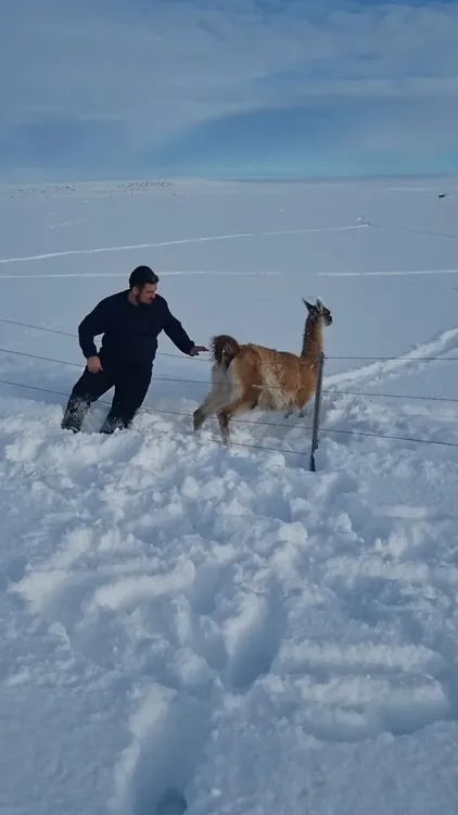 e74dfa0a-55dc-4797-8326-4d0c62d763e2