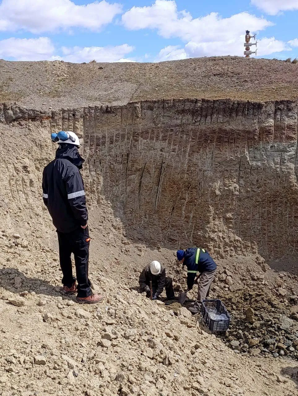 INSPECCIN_CONTROL_AMBIENTAL_DEL_MOSQUITO_2