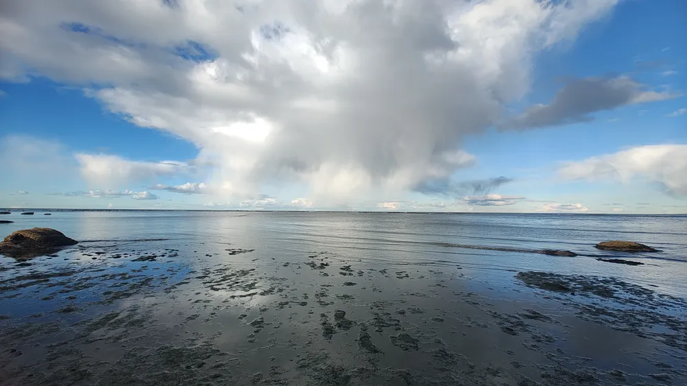 IMG_20240505_171403120