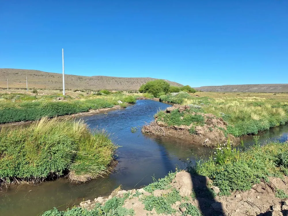 WhatsApp_Image_2025-01-11_at_15.35.03_7