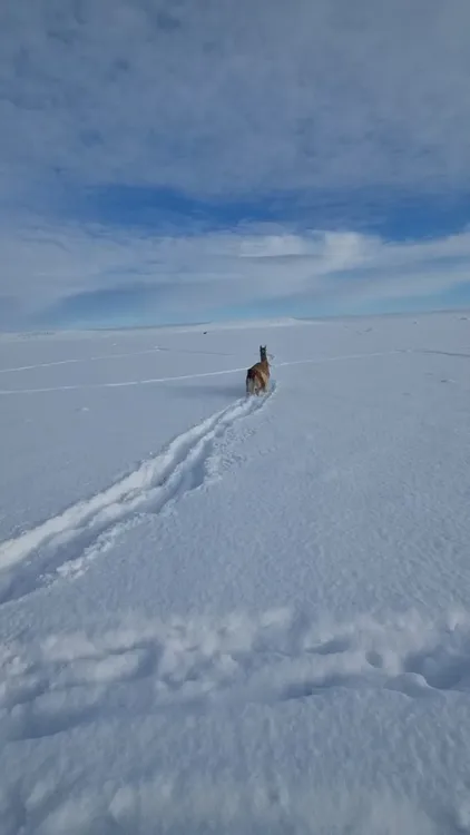 5d947b8a-c545-4d97-ab31-34a784f291c3