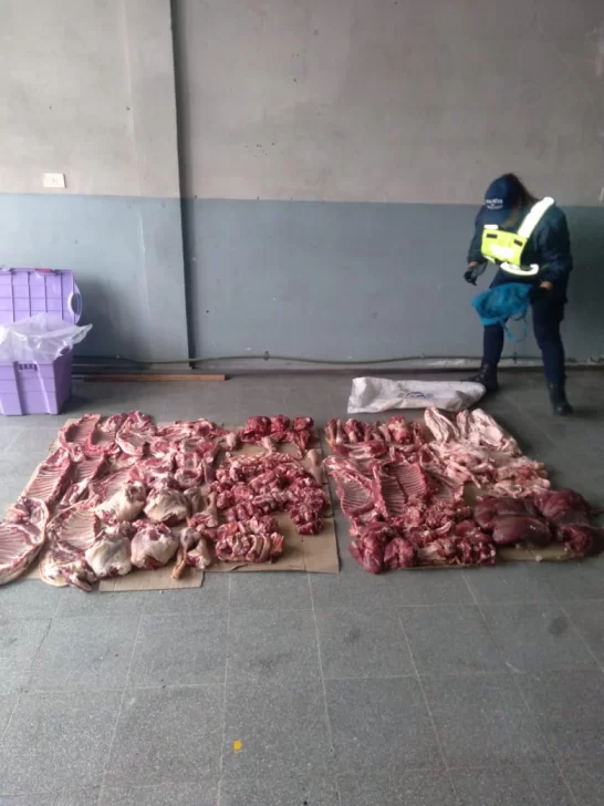 caso-de-abigeato-hombre-y-mujer-detenidos-74-546x728