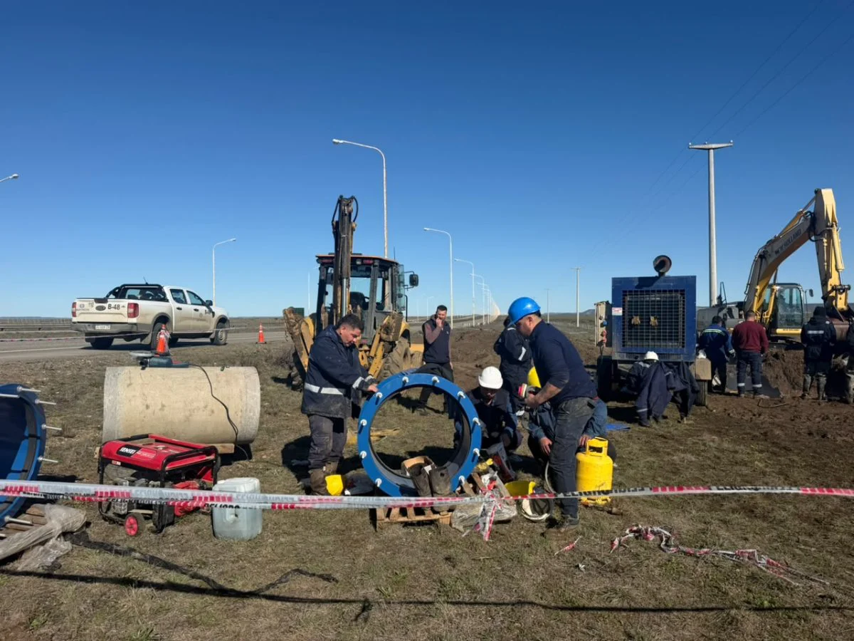 WhatsApp_Image_2026-10-14_at_12.38.15_PM