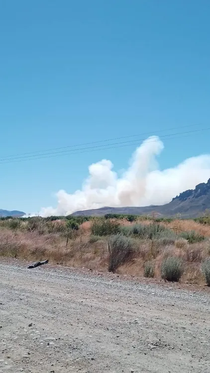 FB_IMG_1706659539426