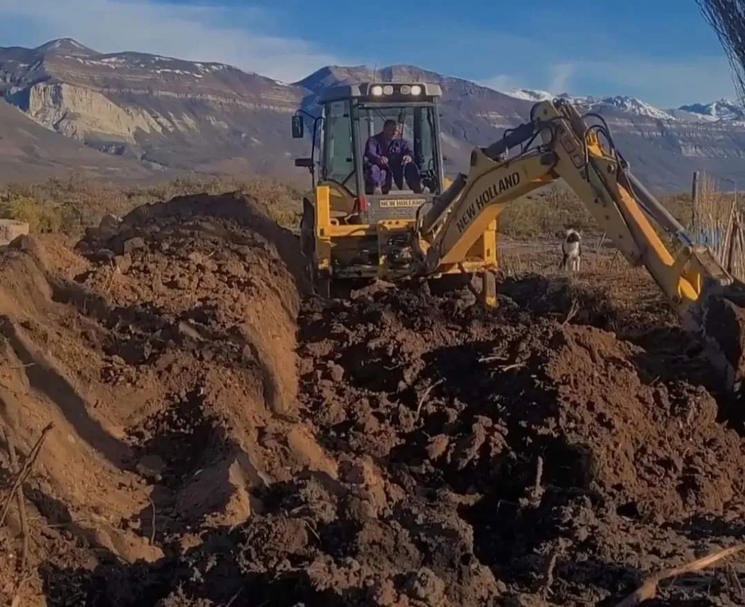 WhatsApp_Image_2024-07-23_at_6.47.50_PM