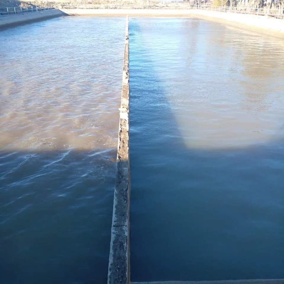 FB_IMG_1722094365400