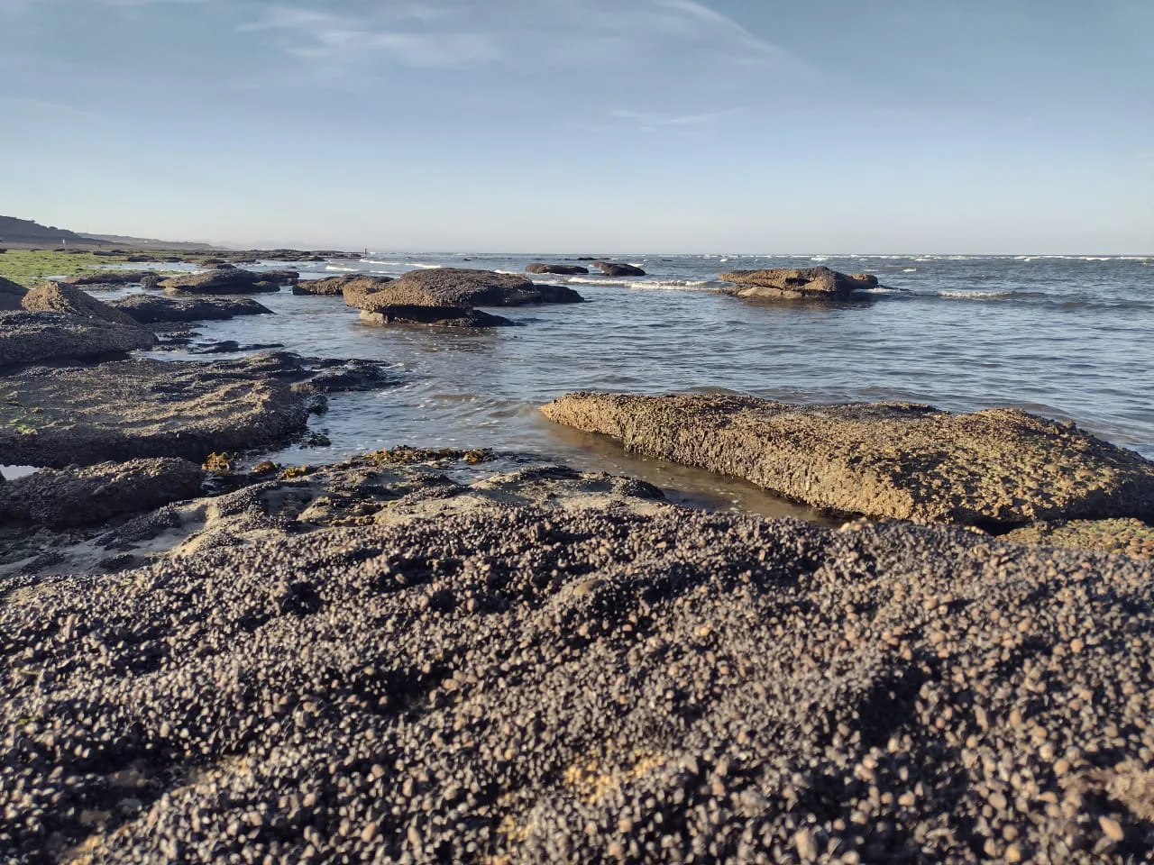 WhatsApp Image 2024-02-05 at 04.02.48