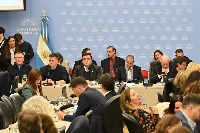 plenario-de-las-comisiones-de-discapacidad-y-de-presupuesto-y-hacienda-en-diputados-foto-camara-de-diputadosgustavo-molfino-IKWXWR33WBB5NM76SB3DHXWARU
