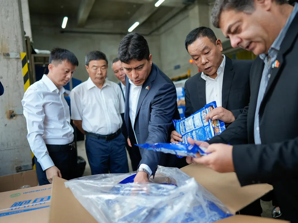 IMG-20241017-WA00691