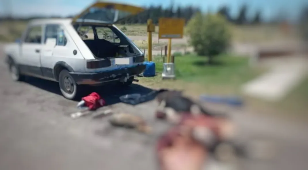 Screenshot_20231227-185321-01