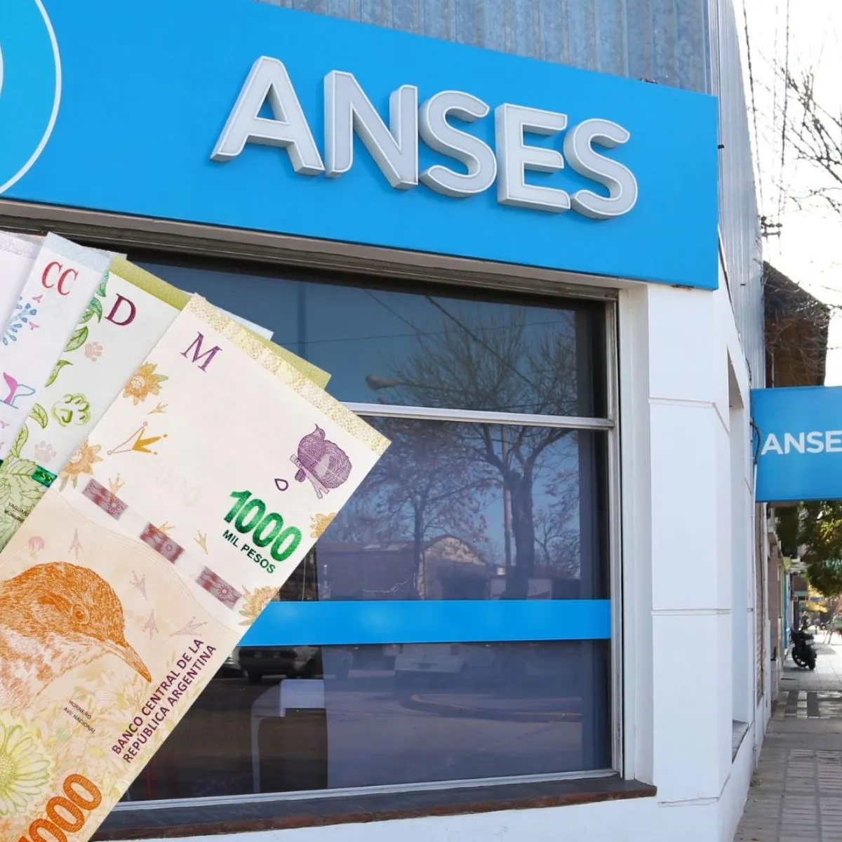sin_turnos_en_anses.jpg_792575817
