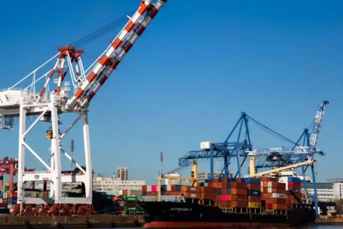 screenshot-2024-12-28-201858_1200_800