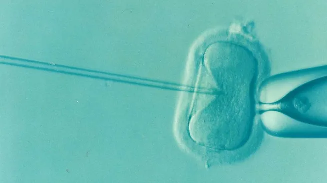 vasectomia-1200jpg