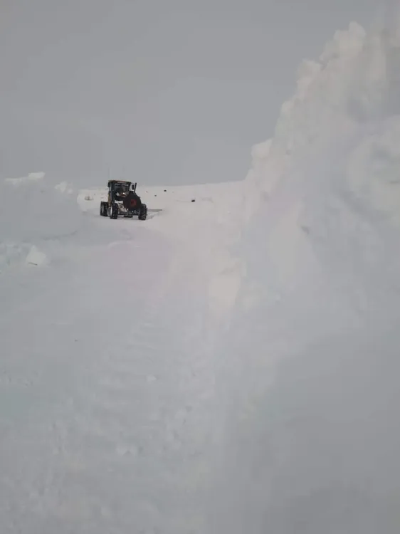 FB_IMG_1720534754289