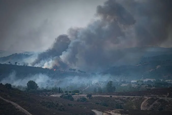Incendios-forestales-golpean-Europa-Belgica-y-Grecia-concentran-la-emergencia