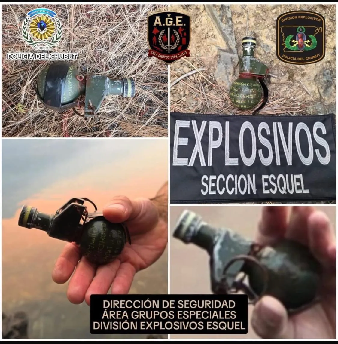 58e0e510-3ce4-4f95-92f1-4ccba8d4315f