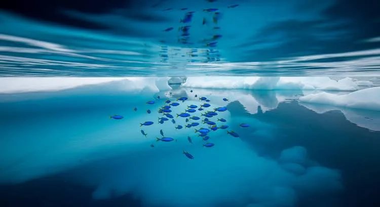 images - 2026-03-20T065525.959