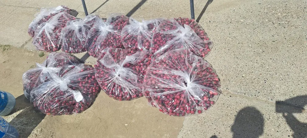 WhatsApp Image 2023-12-28 at 11.58.00