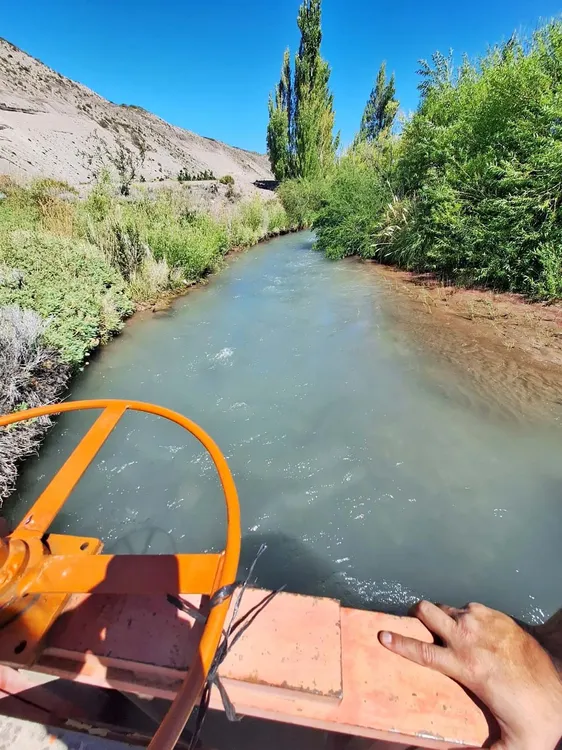 WhatsApp_Image_2025-01-11_at_15.35.03_1