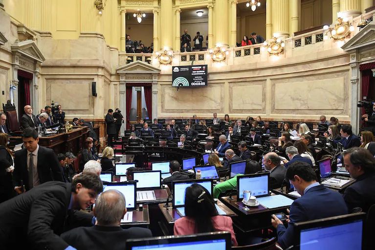 el-gobierno-acelera-la-reforma-de-la-ley-de-salud-mental-los-cambios-que-propone-para-las-internaciones-involuntarias-foto-juan-carlos-cardenas-comunicacion-senado-WINH5XIKQRER5PV5ET24IKKQ6M