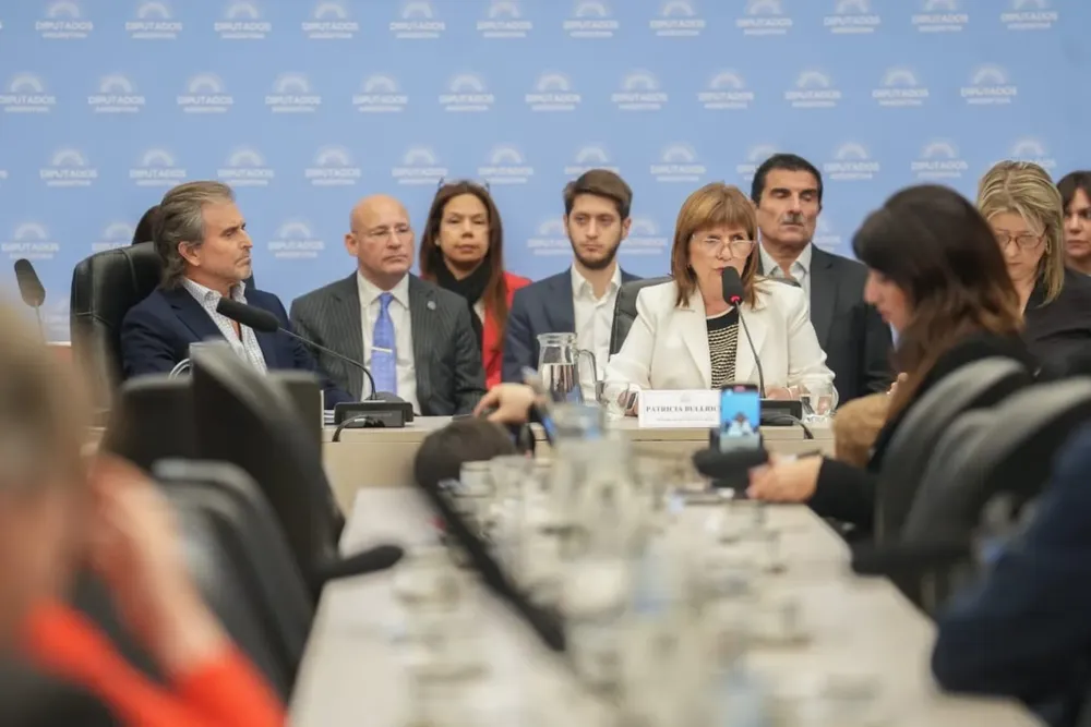 patricia-bullrich-en-la-comision-de-presupuesto-junto-a-el-libertario-bertie-benegas-lynch-foto-camara-de-diputados-M4M3W6XFQBB4JOSVL6IP5PYDIA