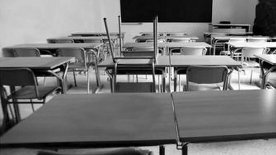 5eb7d336b045a_905_510!