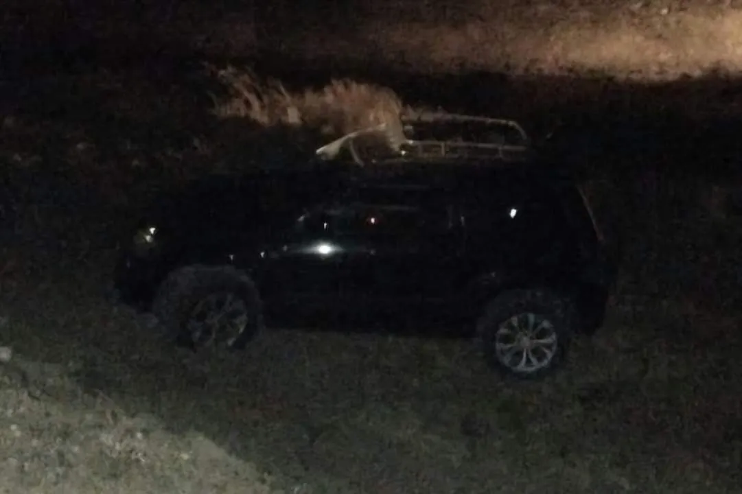 FB_IMG_1714210233522