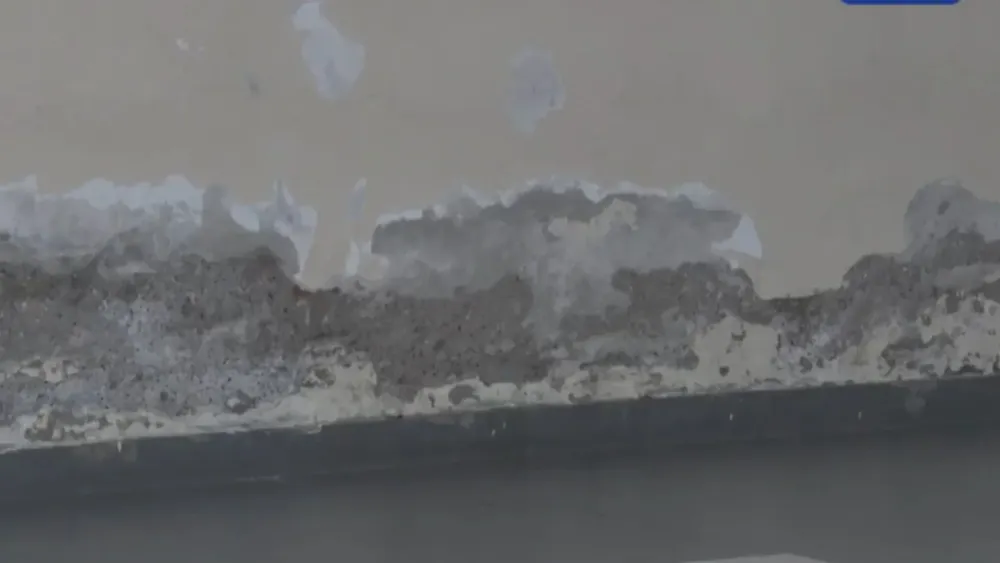 Diseño sin título (16)