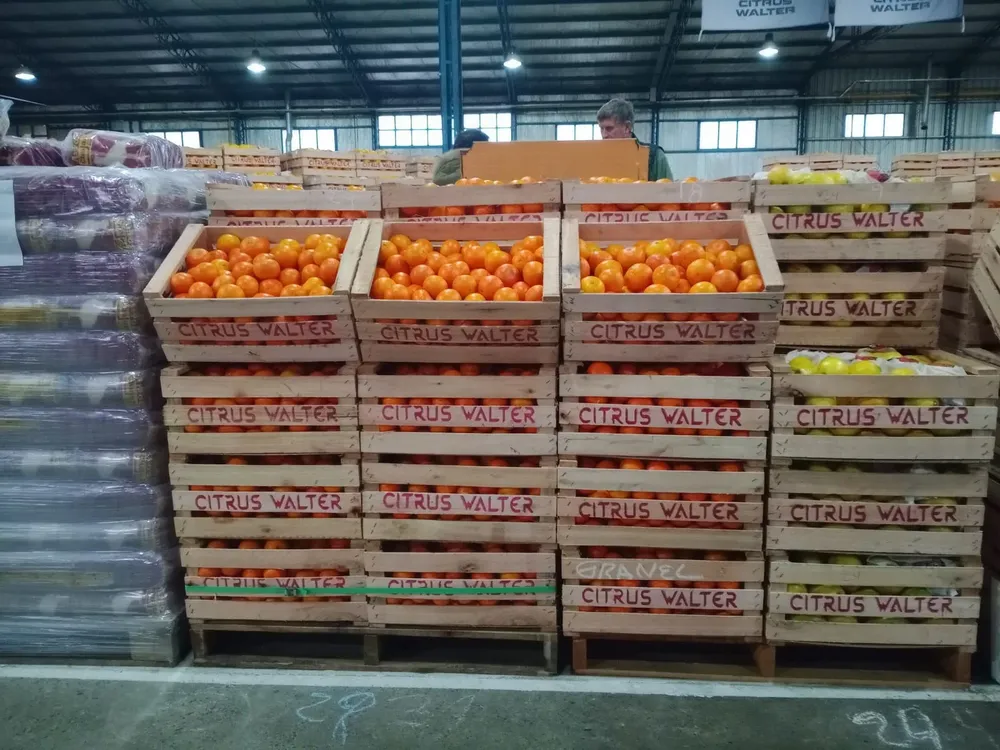 mercado_1