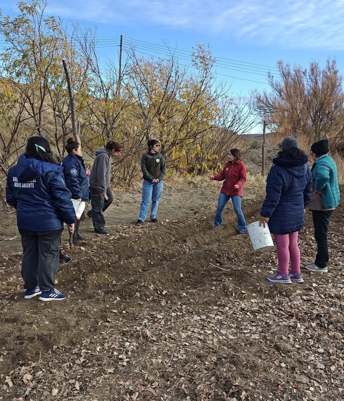 FB_IMG_1764781212695_1