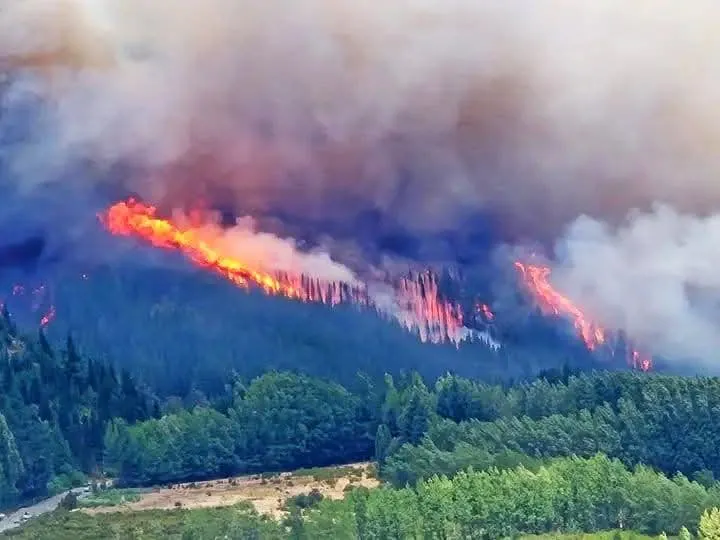 FB_IMG_1736973495437