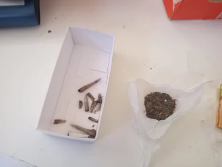 marihuana-d2039jd2309jd23-728x548