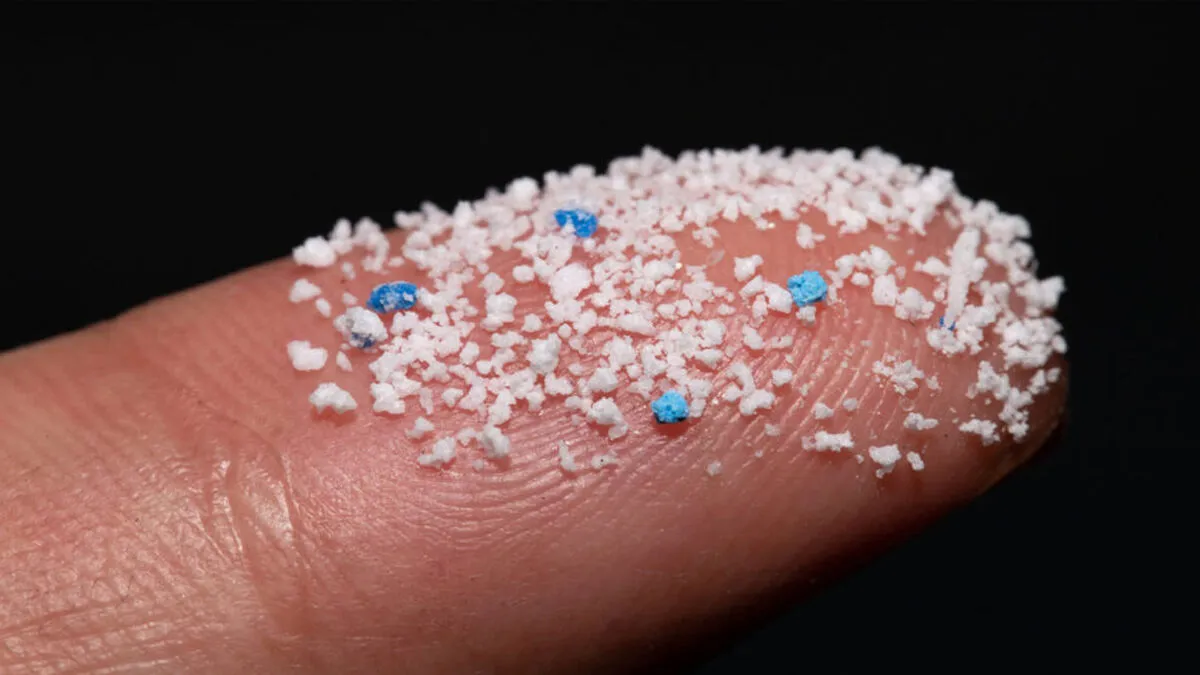 Microplasticos_1668144266_154393890_1200x675