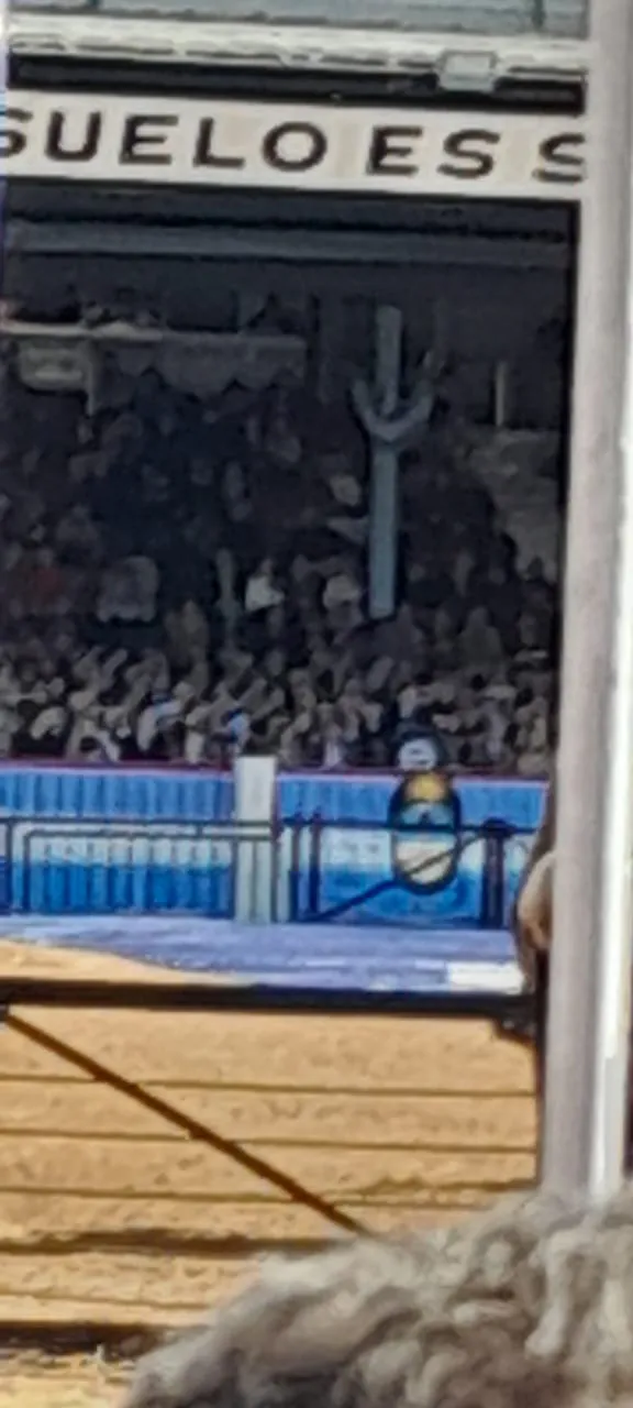 0d5566ff-7c7e-4bc7-a283-800c499bd07d