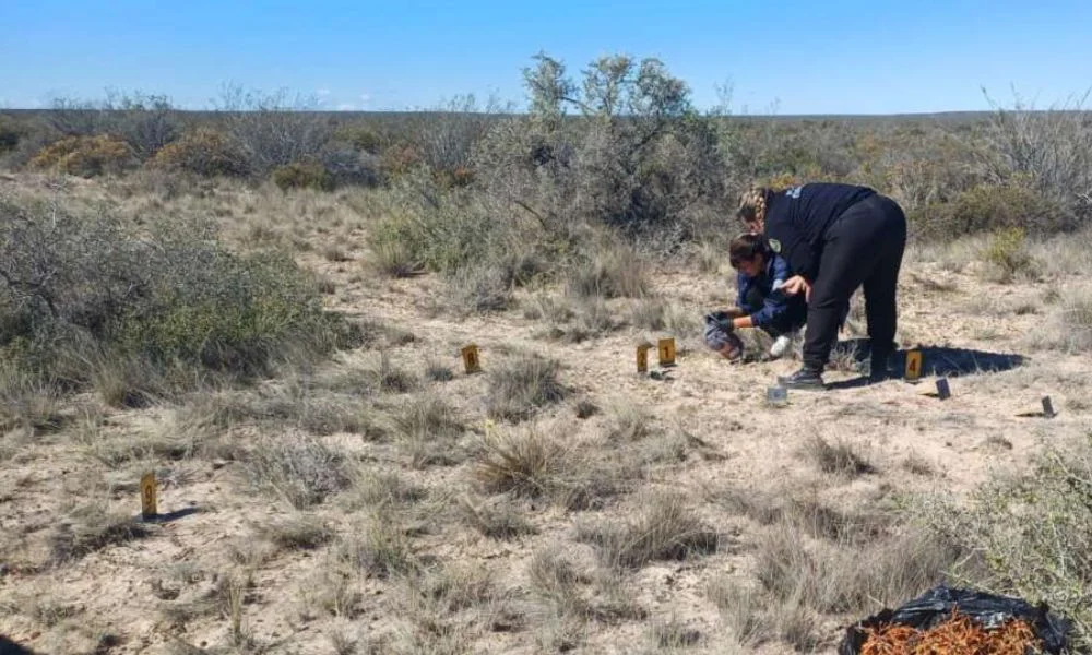 multimedia.normal.b3be2cb779527520.bm9ybWFsLndlYnA