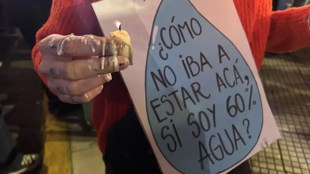 portada_marchaantorcha_glaciares