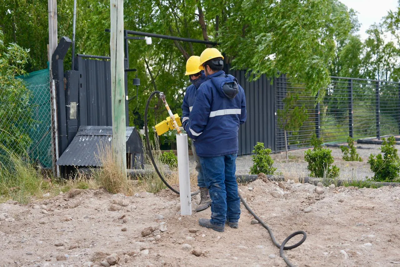 WhatsApp_Image_2026-02-02_at_7.04.12_PM