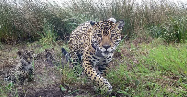 Captura de Pantalla 2026-02-16 a la(s) 14.53.53