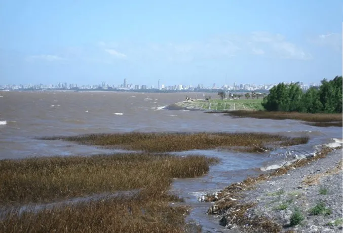 rio-la-platapng