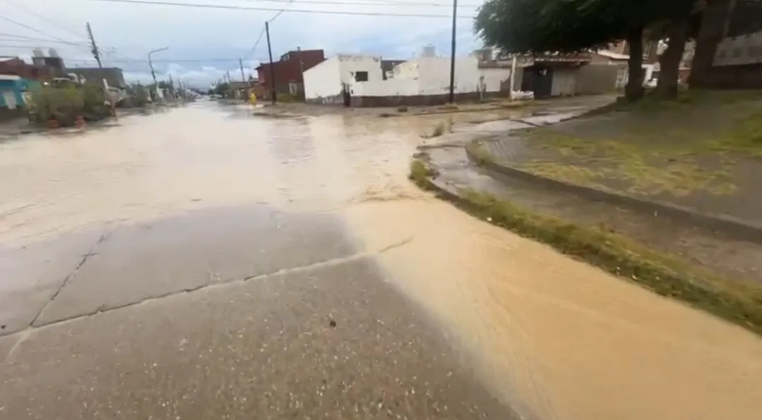 Screenshot_20250330_110215_WhatsApp