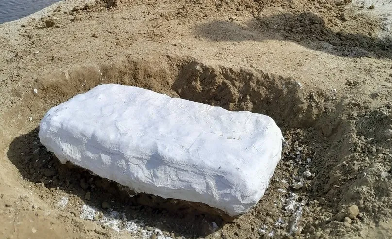 WhatsApp Image 2024-10-15 at 14.54.59