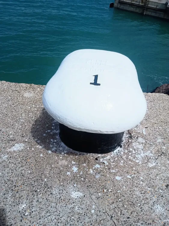 WhatsApp_Image_2025-12-10_at_2.03.16_PM