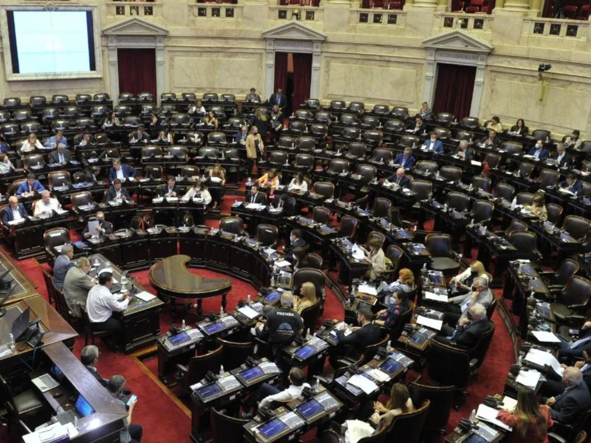diputados_boleta_1_crop1651753821989